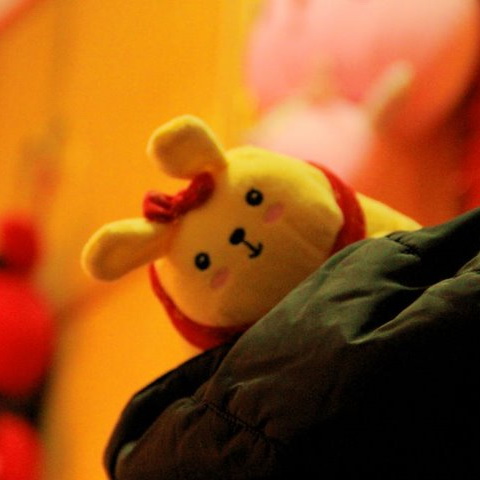 王声声-技术文档